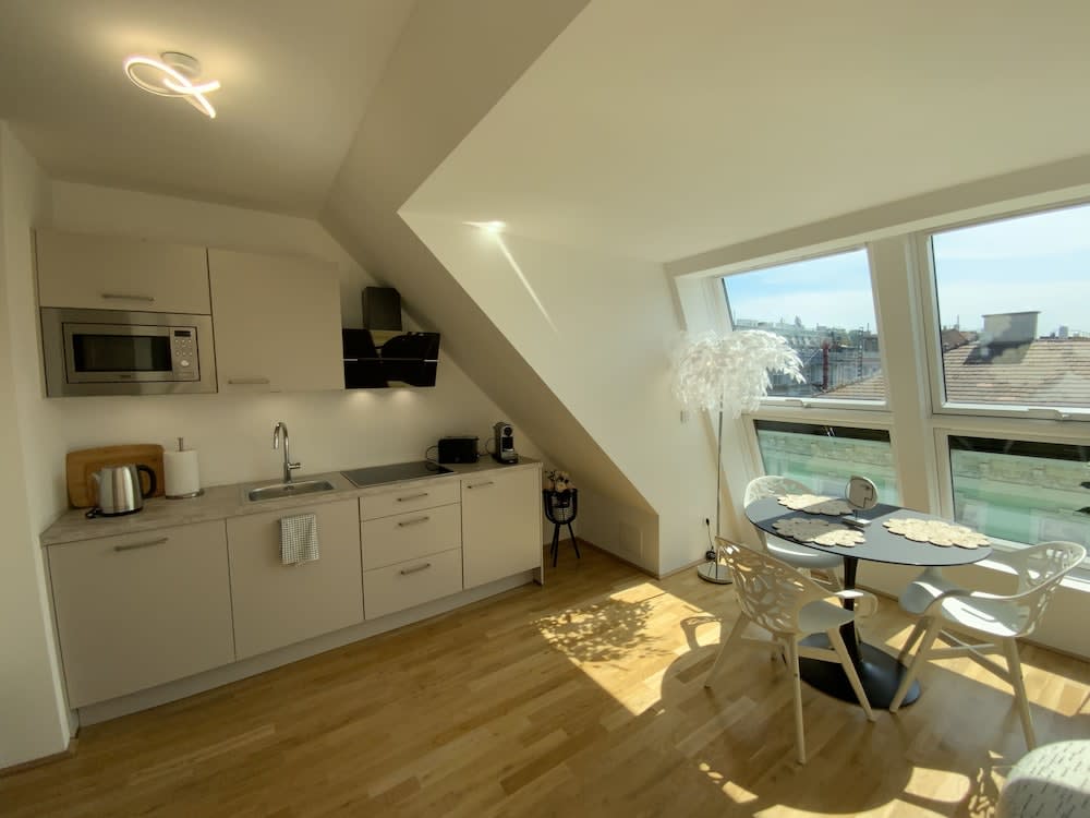 Dachgeschoss Loft im Herzen von Wien 1