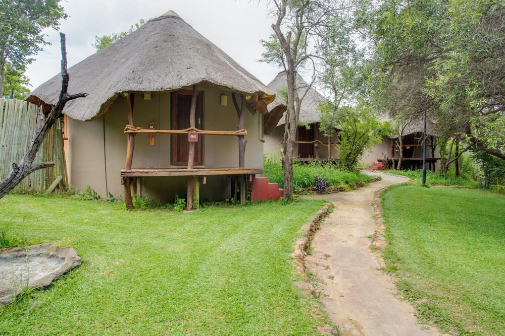 Warthogs Bush Lodge 1