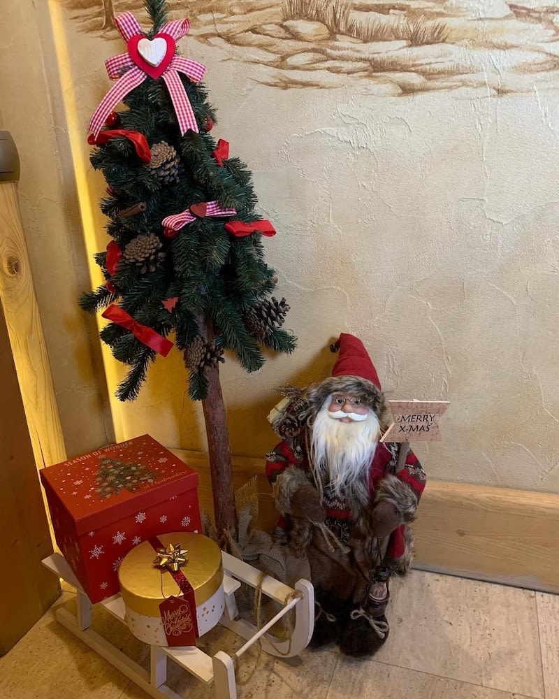 Leśny Dworek Zakopane 4