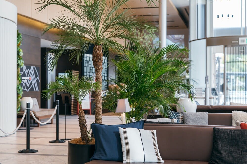 Hotel JAL City Haneda Tokyo 2