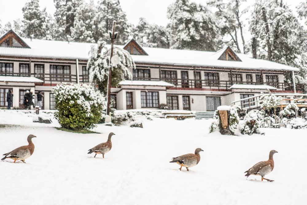CASA del LAGO Bariloche 1