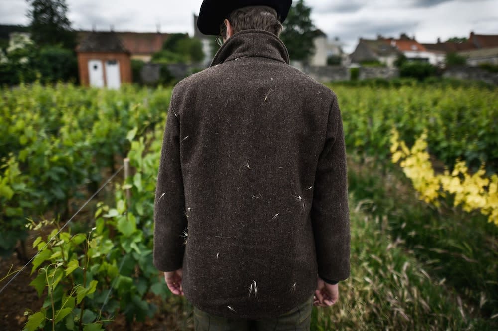 Château Armand Heitz - Domaine Armand Heitz 1