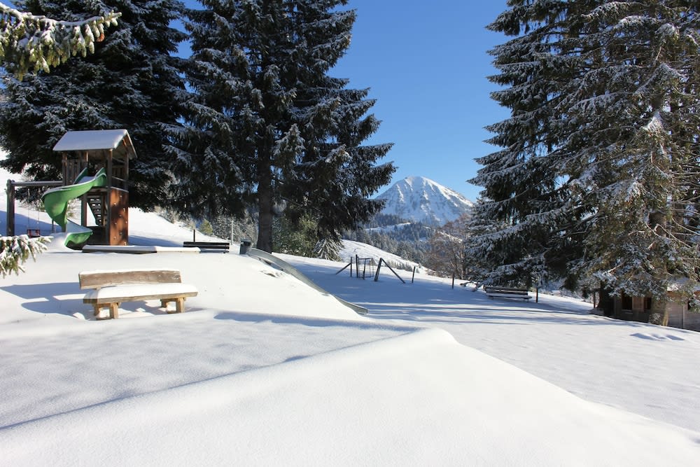 Leysin Lodge 1