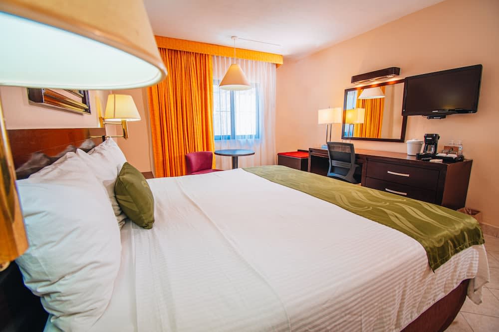 Eco City Hoteles 1