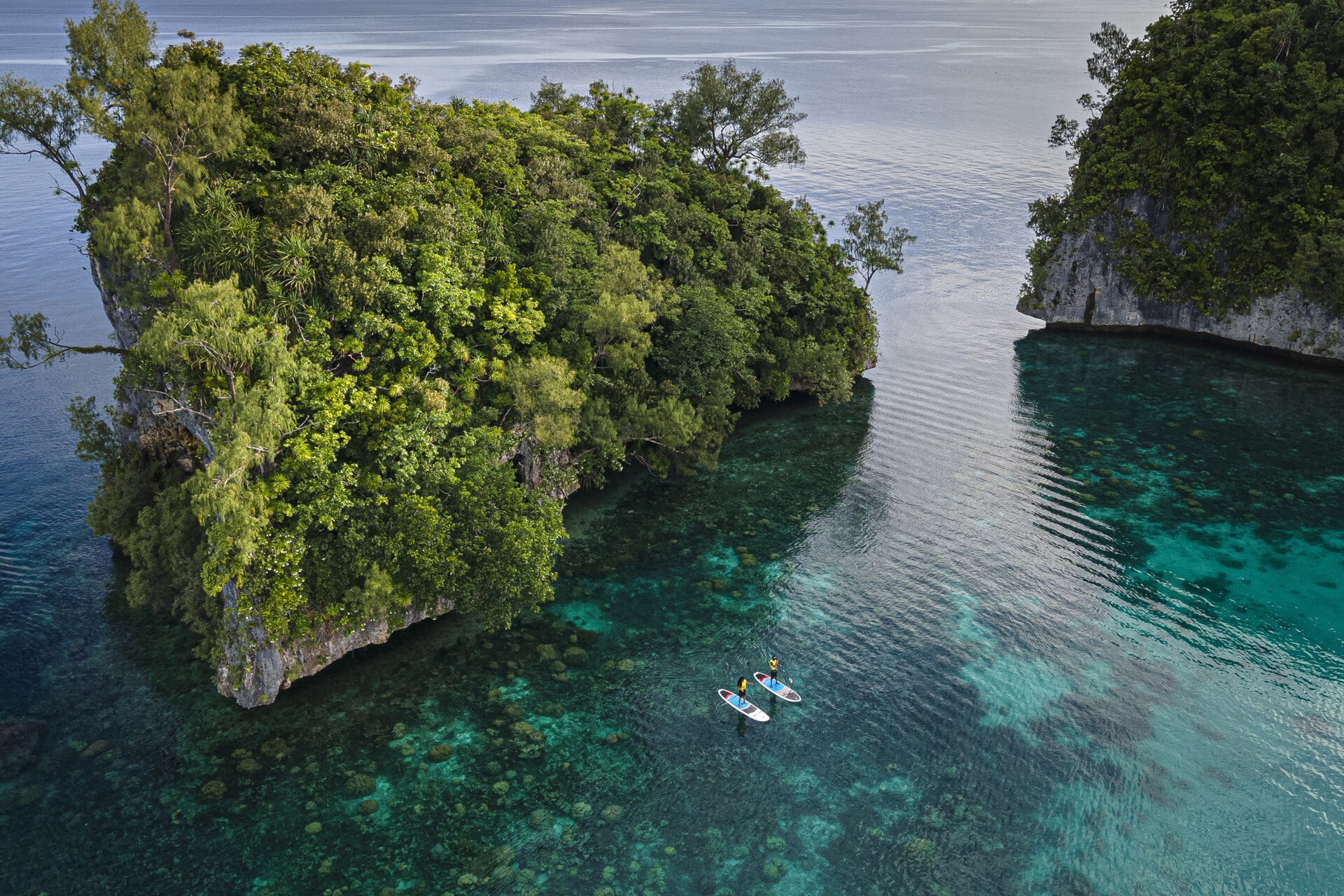 Four Seasons Explorer Palau 5