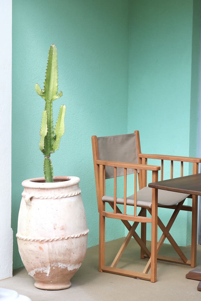 Hotel Casarose - Cannes Mandelieu 5