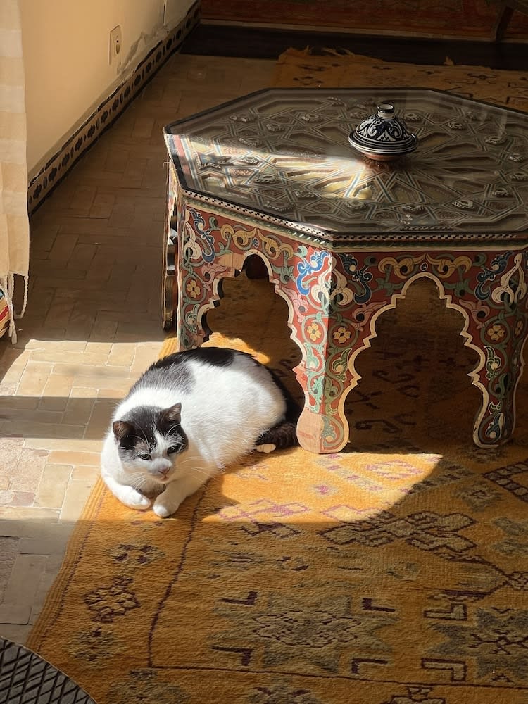 RIAD OASIS D'ASILAH 1