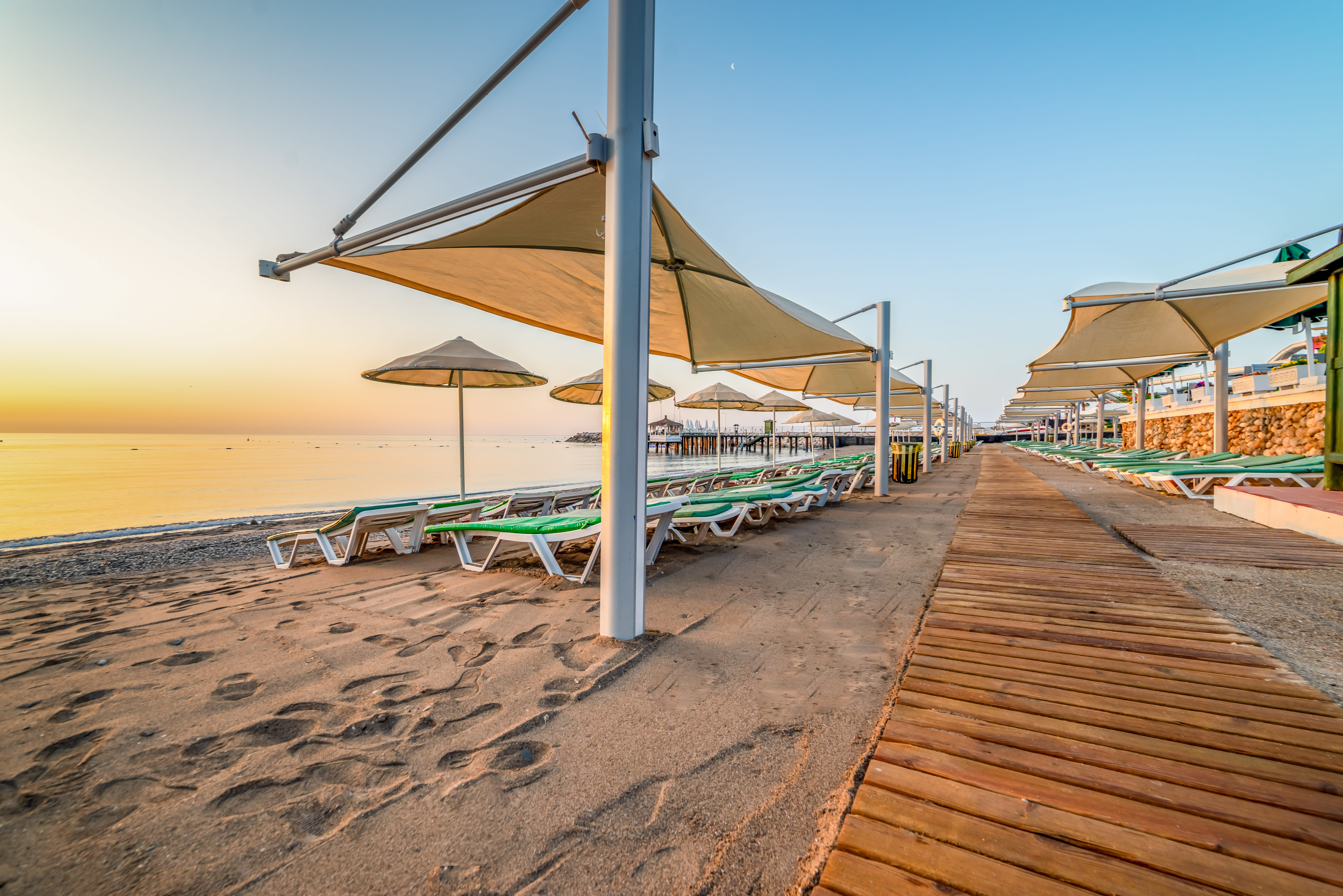 Gypsophila Club Marine 5