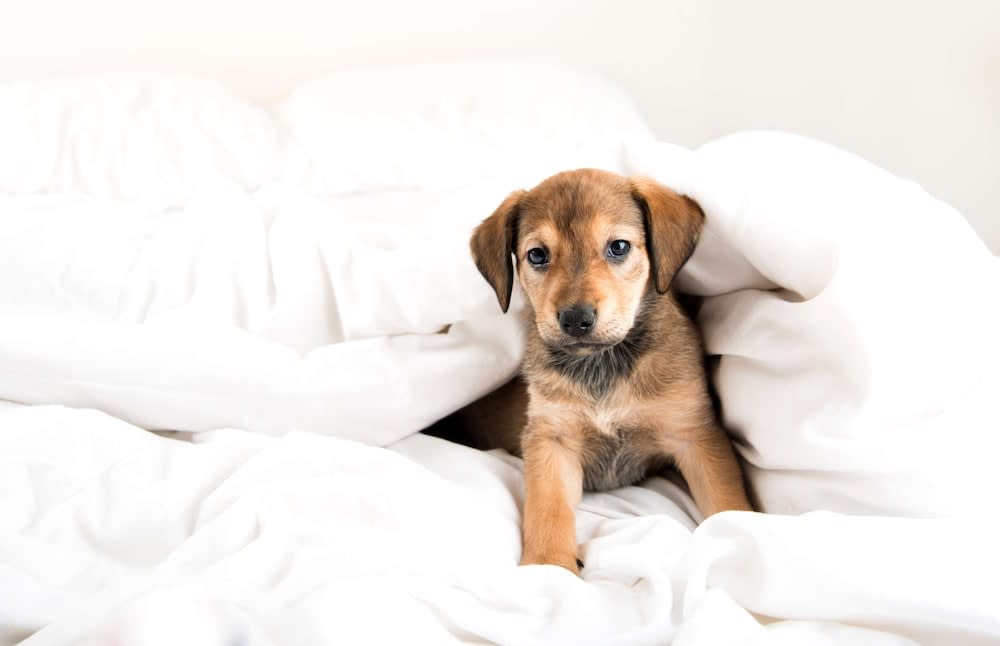 Hyatt House Fishkill-Poughkeepsie 5