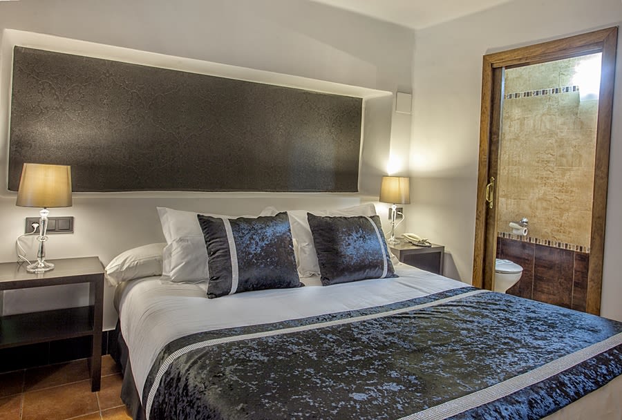 Hotel Rosaleda Don Pedro 5