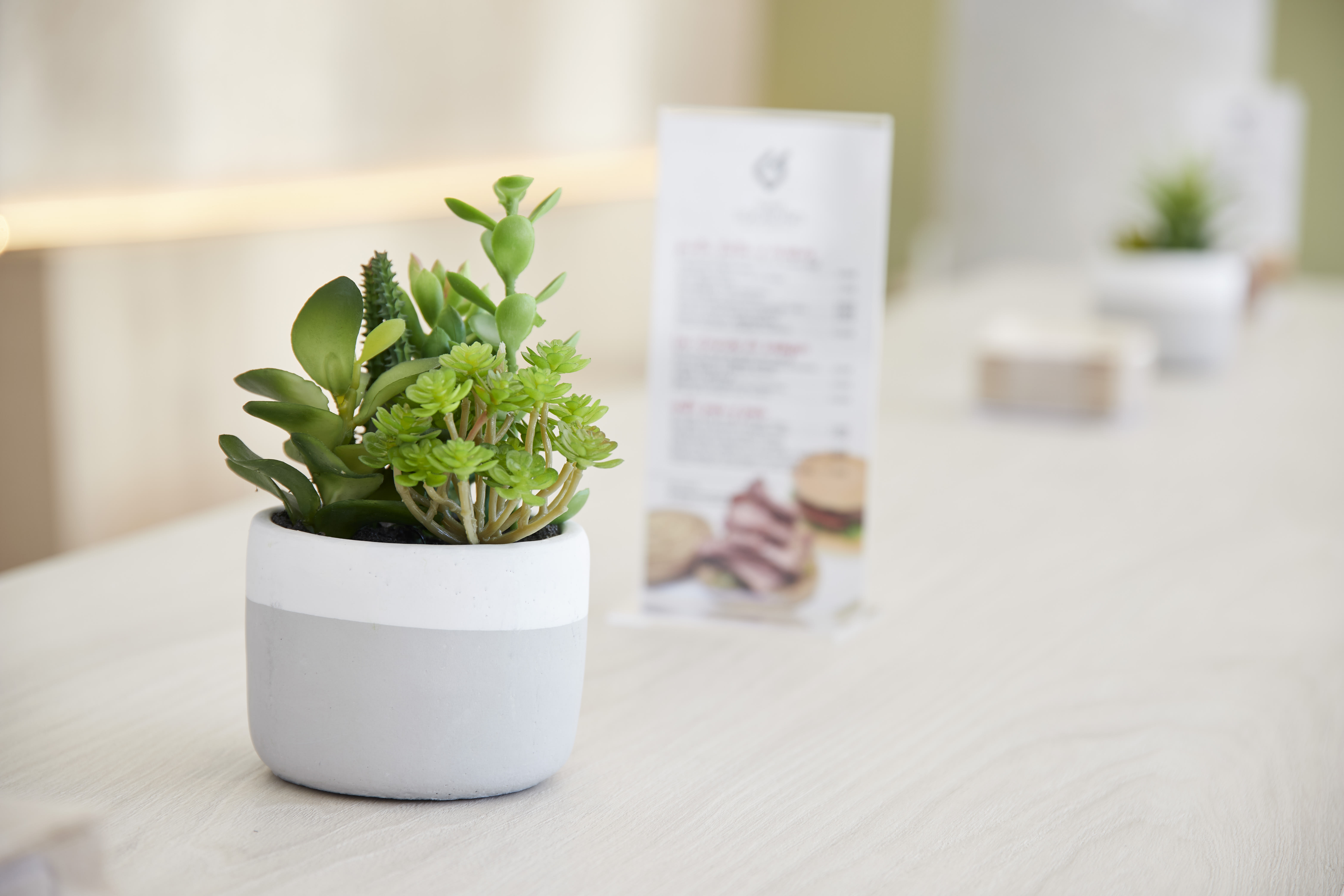 Iraipe Logroño Hotel 2