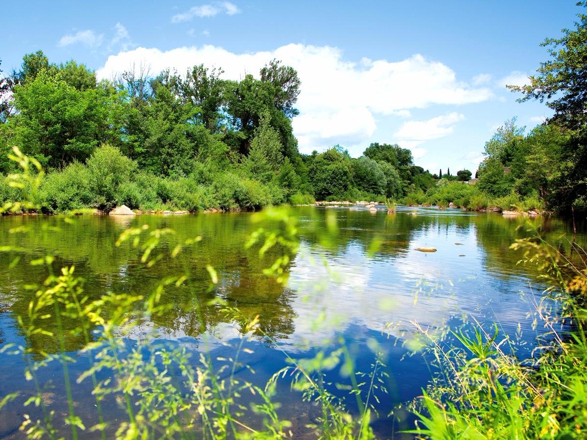Logis Hôtel Restaurant Les Cèdres 4