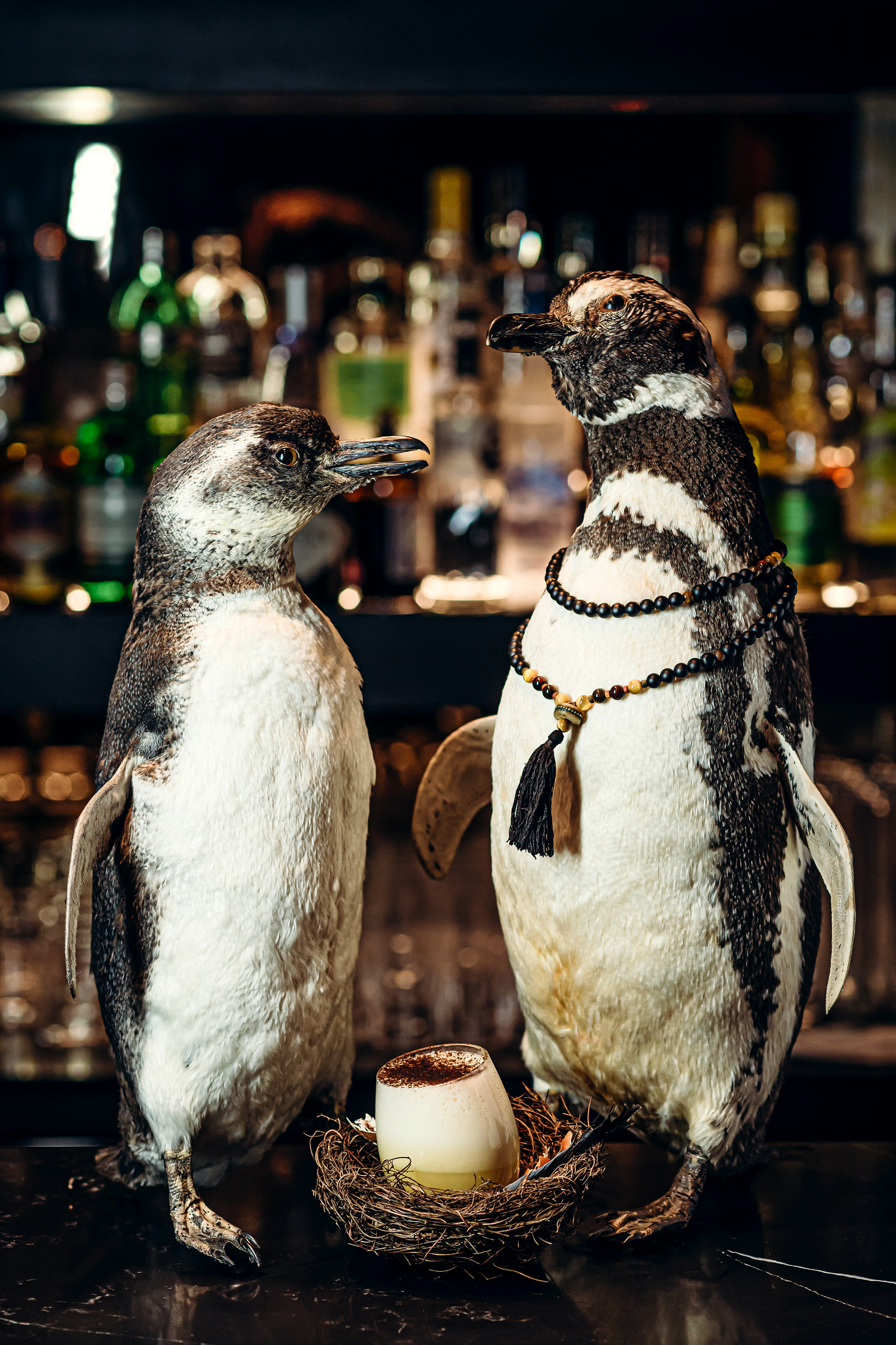 Hux Hotel, Kensington 5