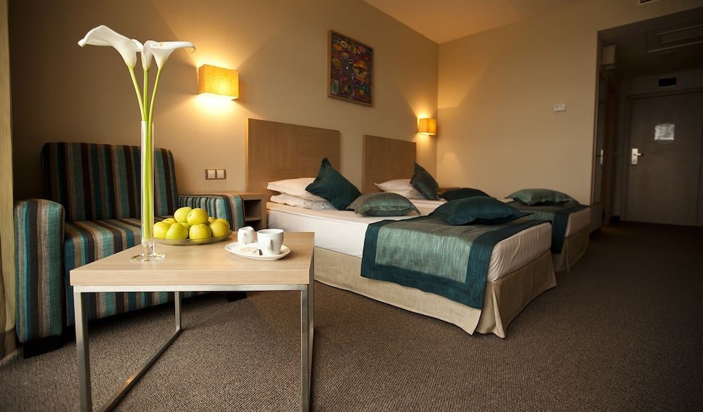 Azalia Beach Hotel Balneo & SPA 3