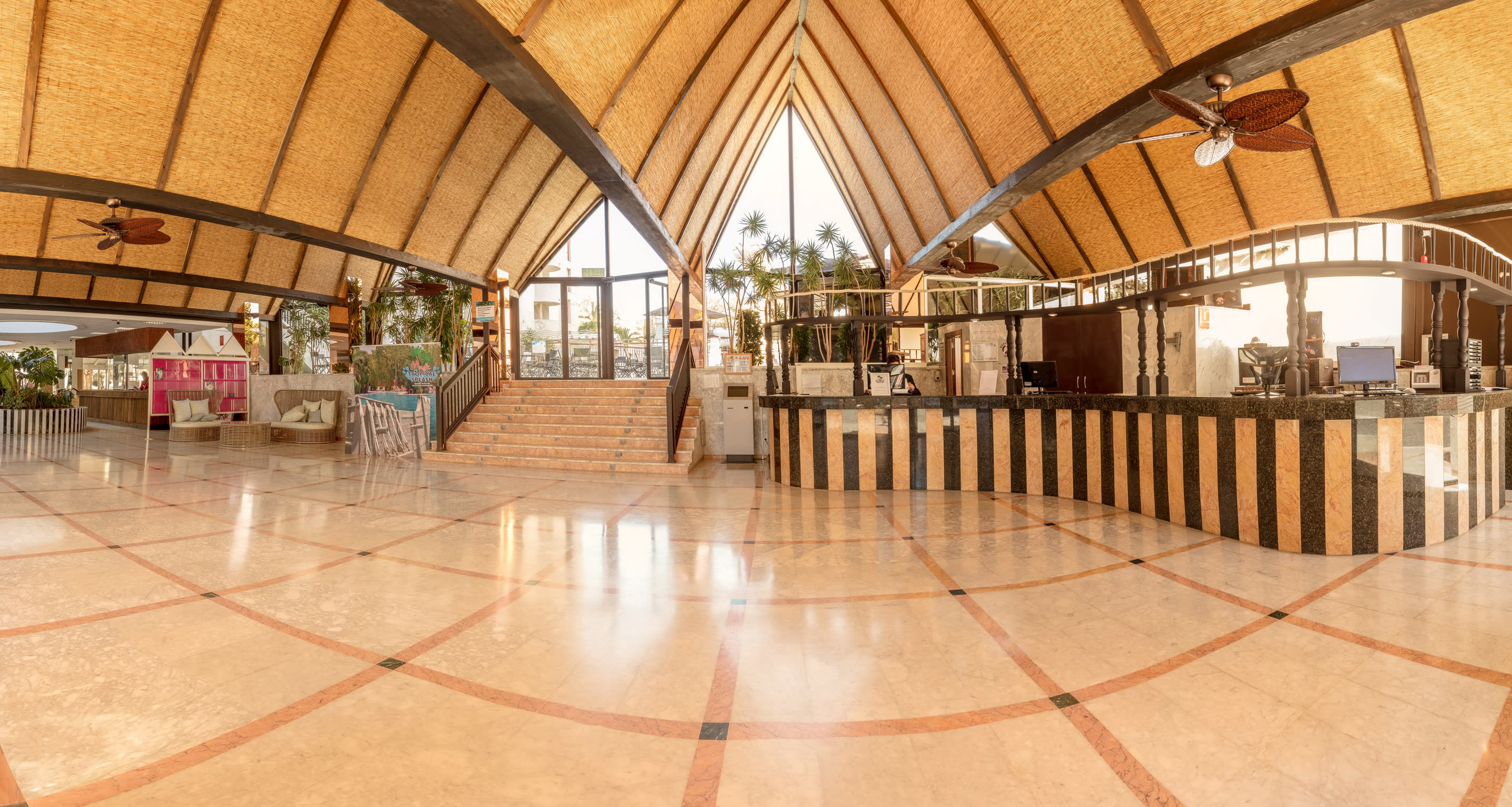 Magic Tropical Splash 4