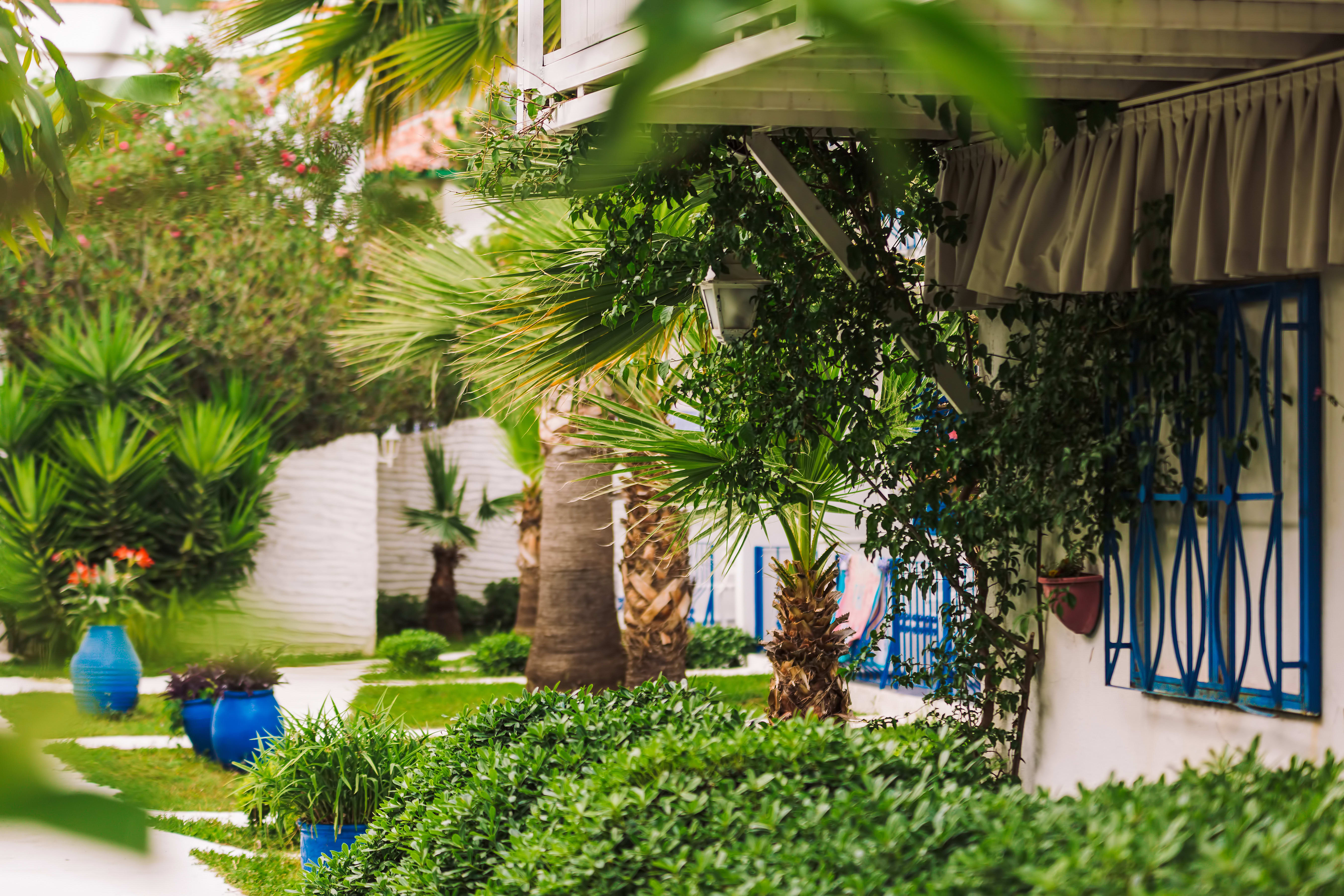 Monta Verde Hotel & Villas 2