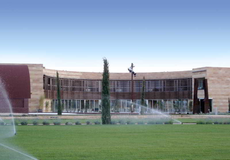 Pago del Vicario 2