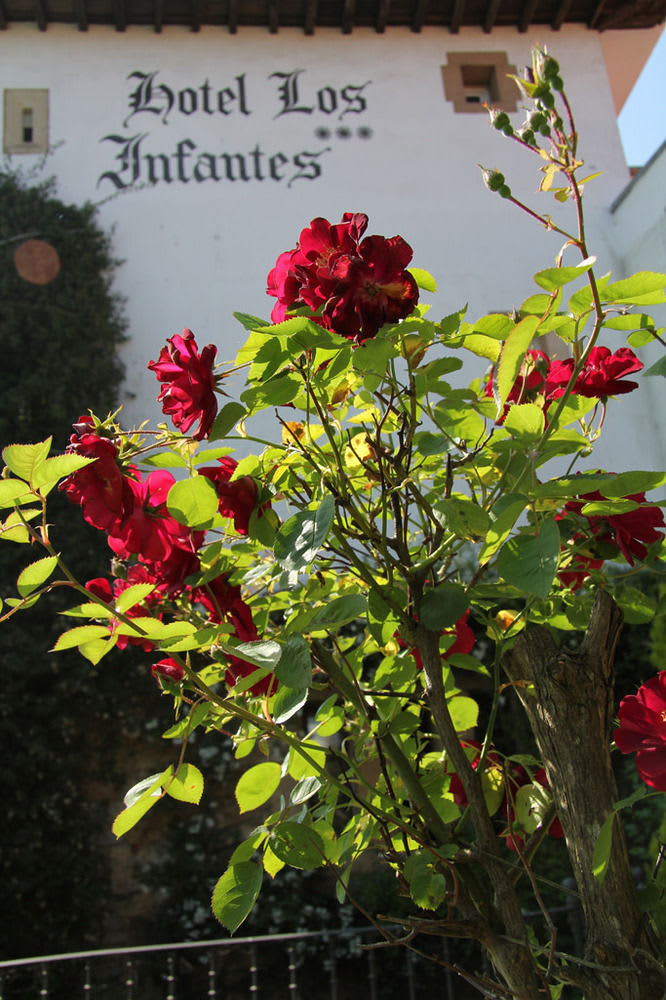 Hotel Museo Los Infantes 1