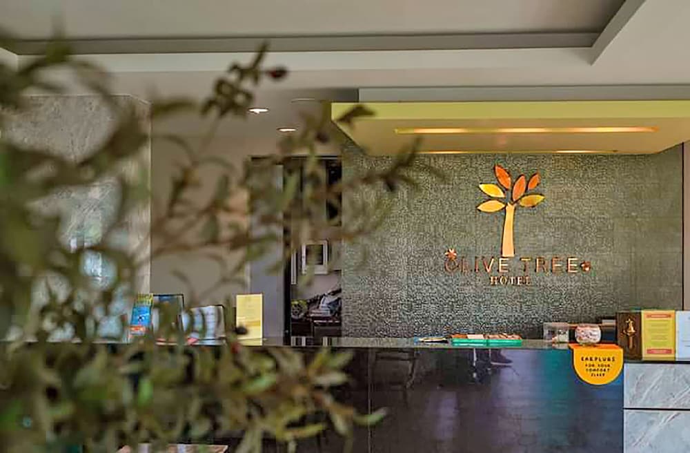Olive Tree Hotel Pattaya 2
