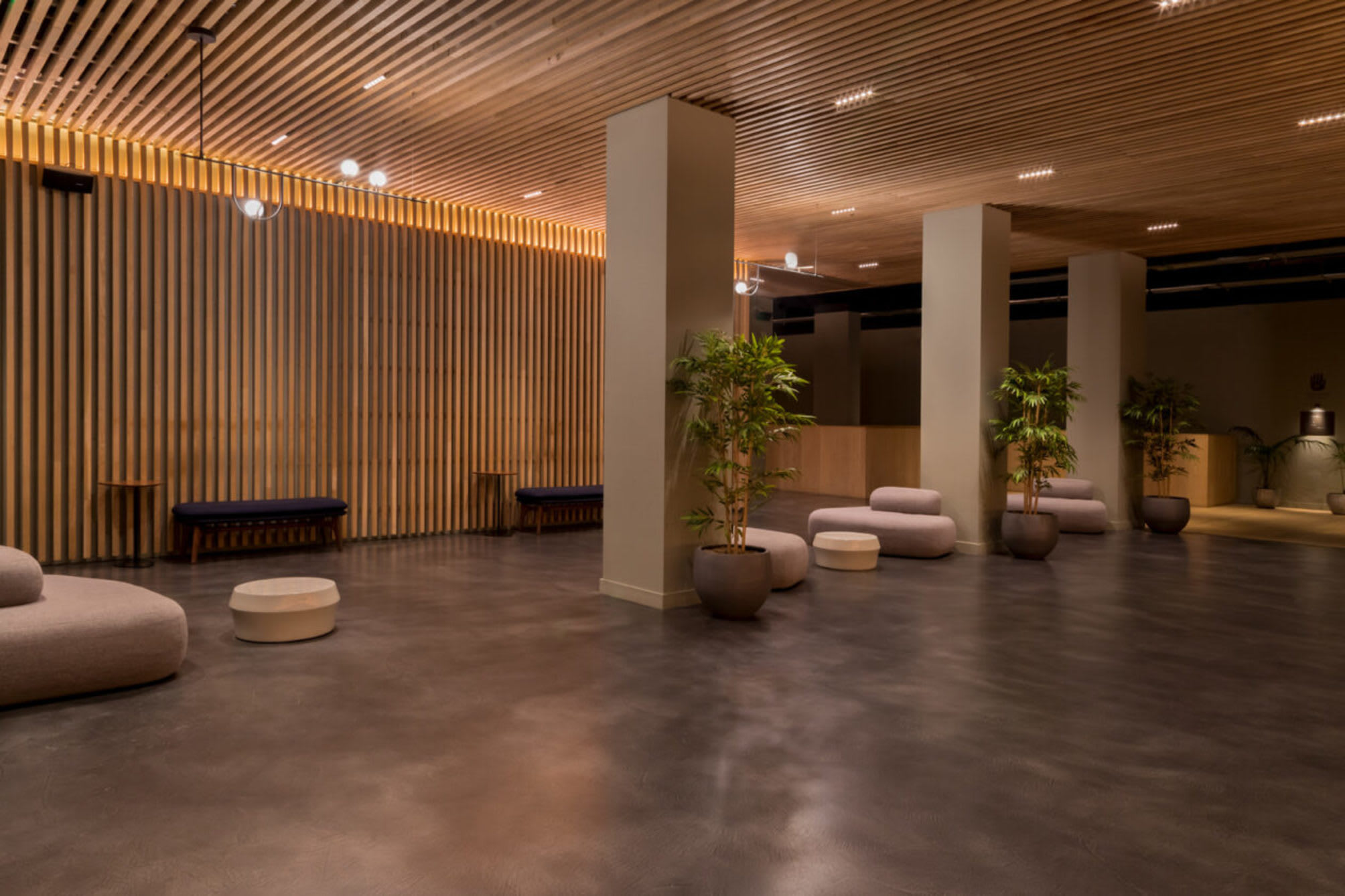 Zedwell Piccadilly Circus 2