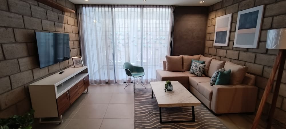 Tribu Centro Histórico 2