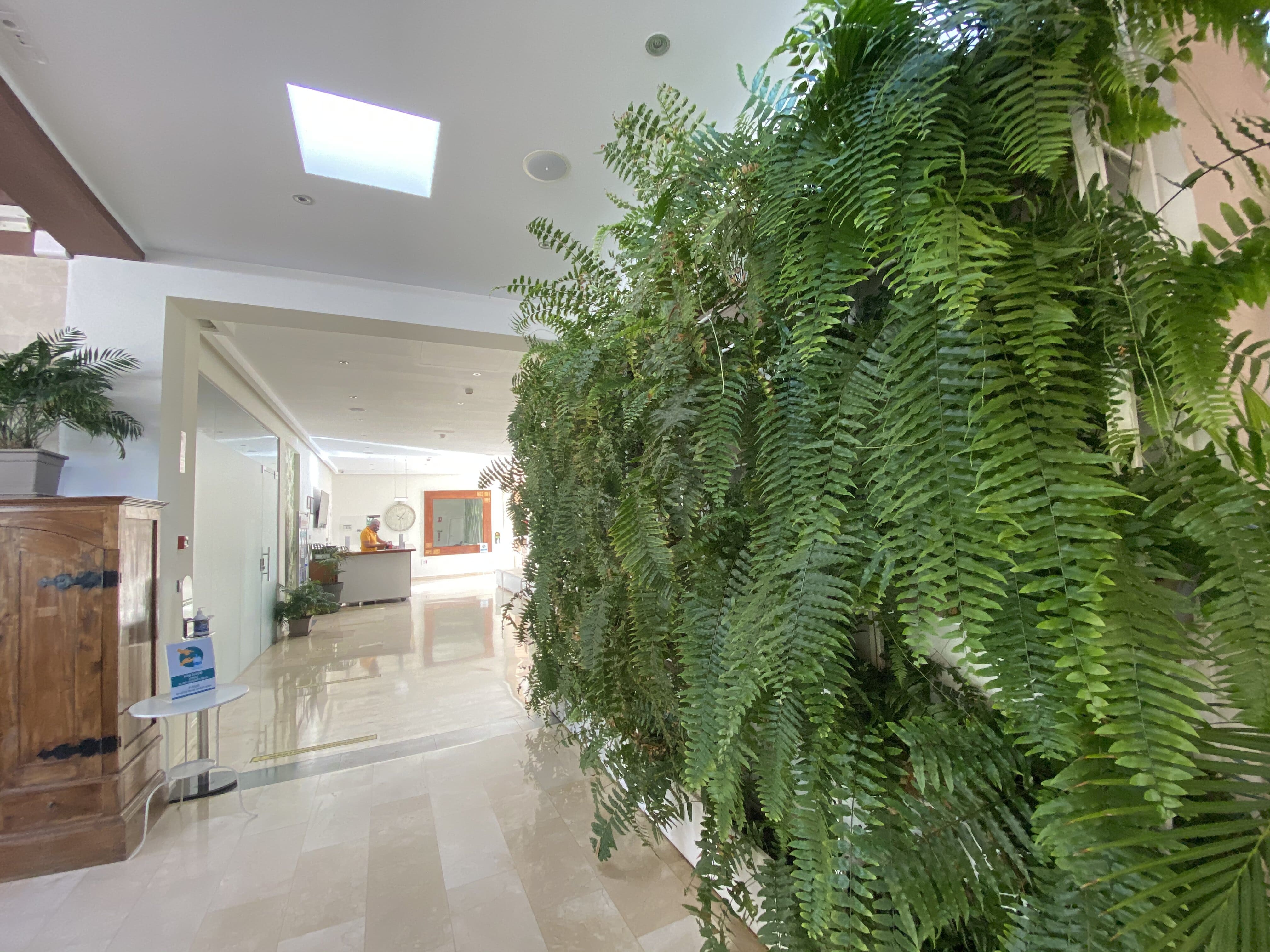 Dreaming Parque De Las Americas 2