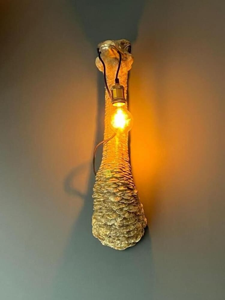 Hôtel Paulette Rouen Centre Cathédrale 3