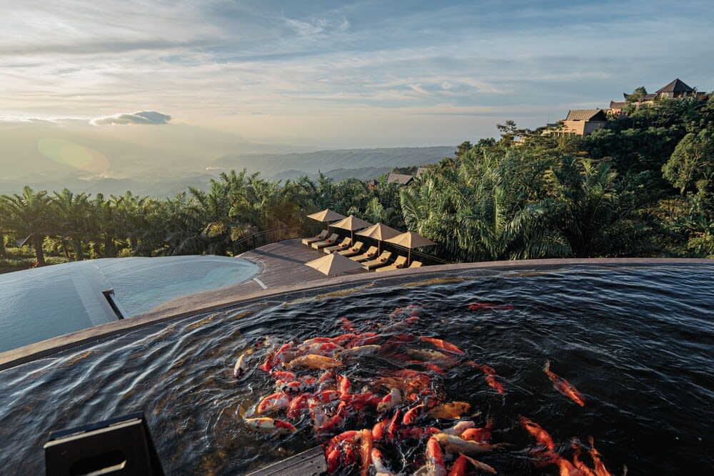 Elevate Bali 2