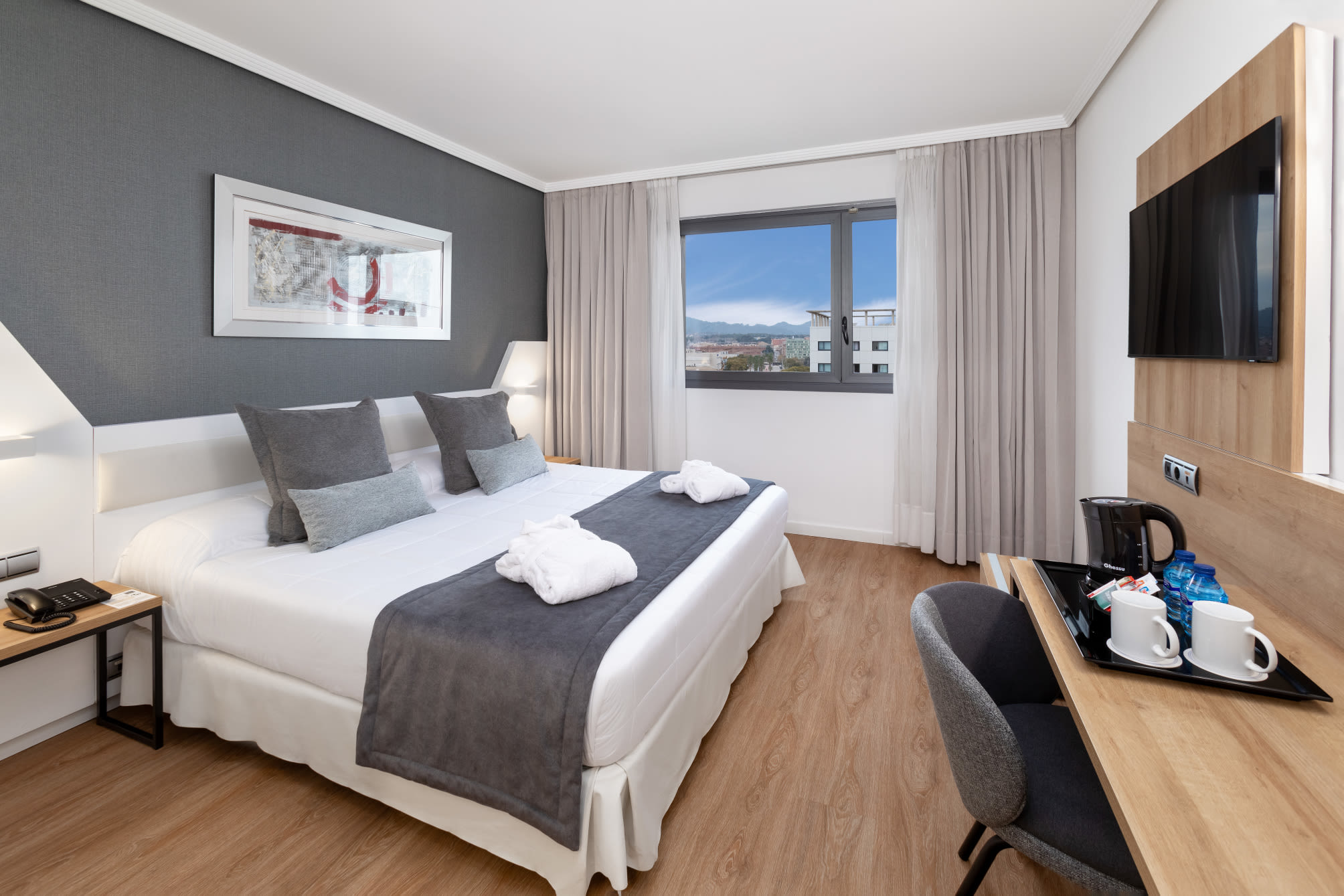 Alexandre FrontAir Congress 4