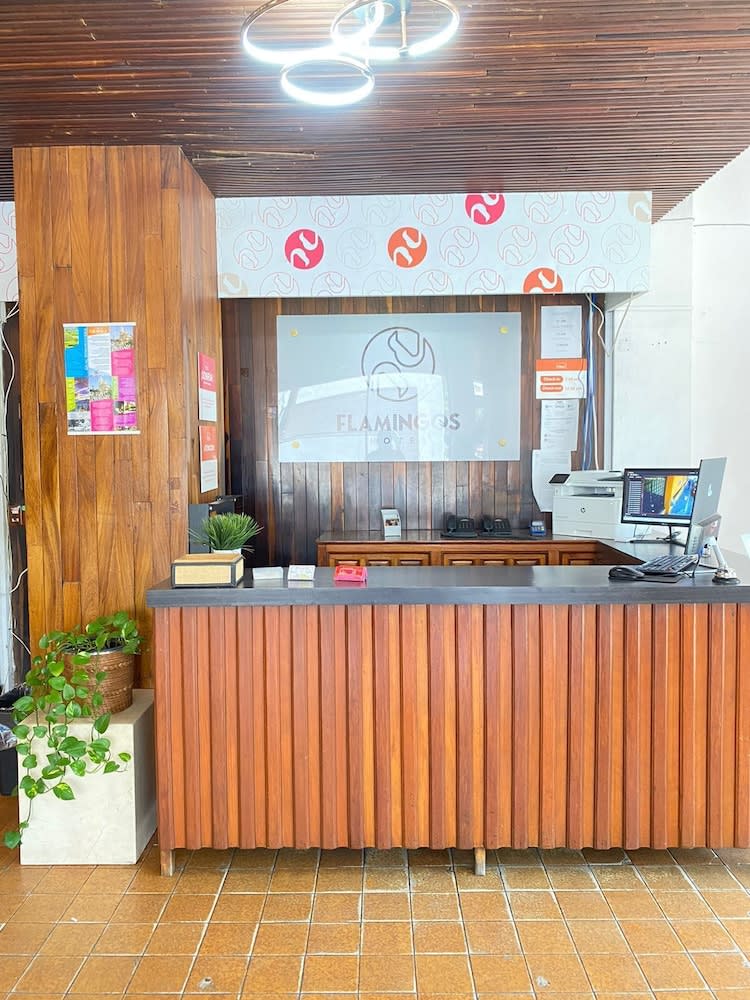 Hotel Flamingos 3