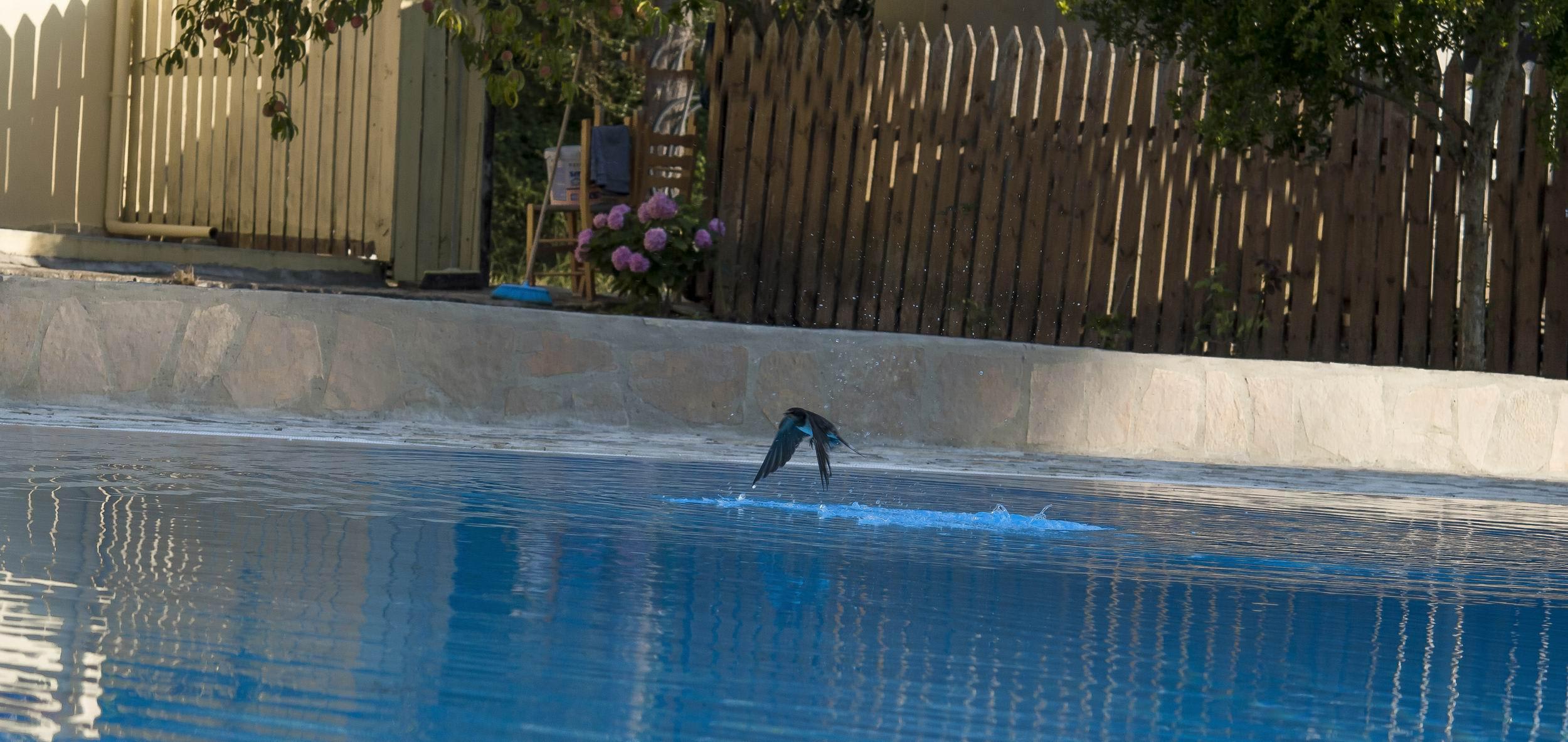 ELEÅŒNAS bohotel and Annex Apartment 3