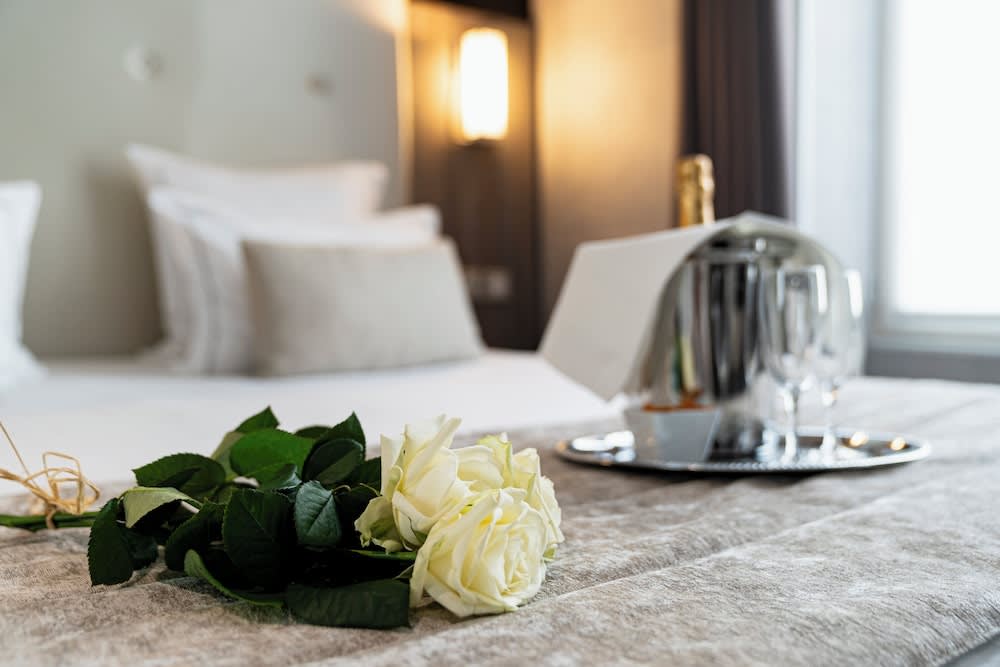 Hotel de la Paix Tour Eiffel 1