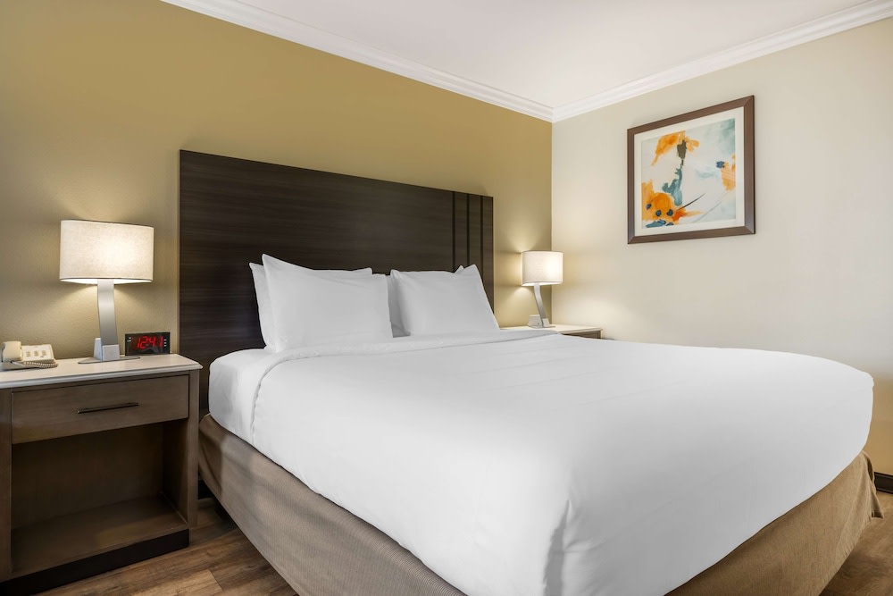 Best Western Plus Orange County Airport North 5