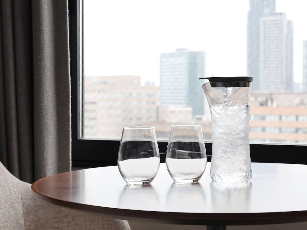 Hotel Elcient Osaka Umeda 5