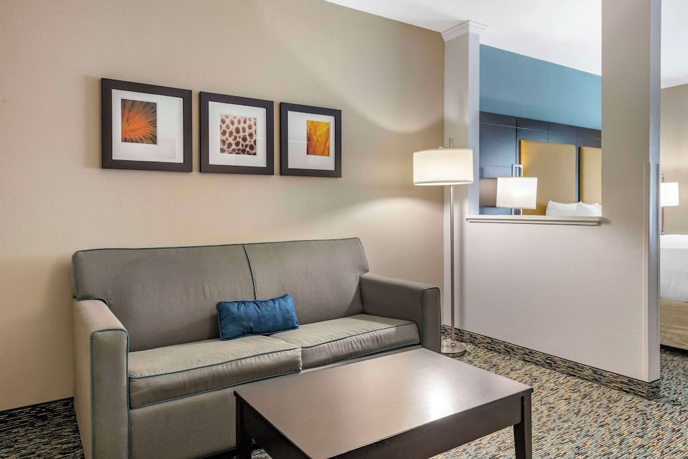 Comfort Suites Fort Lauderdale Airport South & Cruise Port 4
