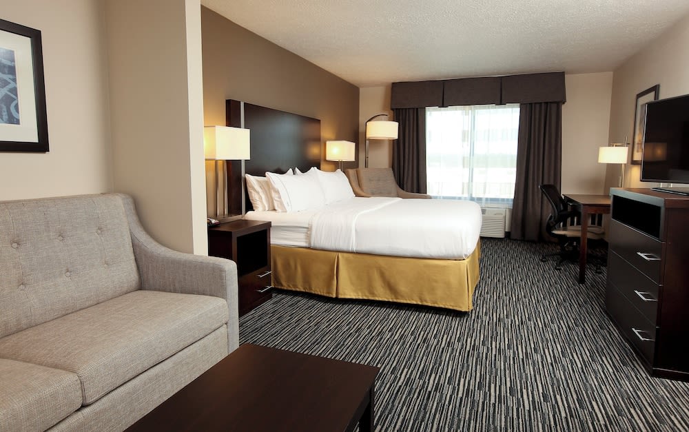 Holiday Inn Express & Suites Omaha South - Ralston Arena by IHG 4