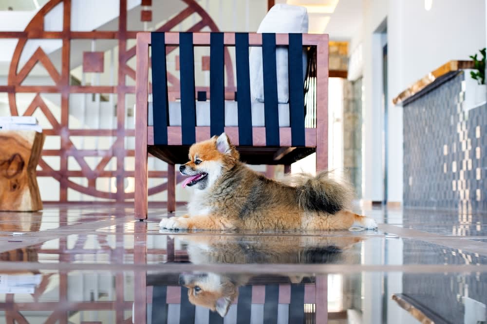 Aliv stone suites & spa 2