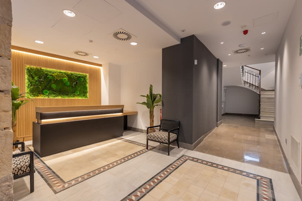 BiBo Suites San Agustín 1