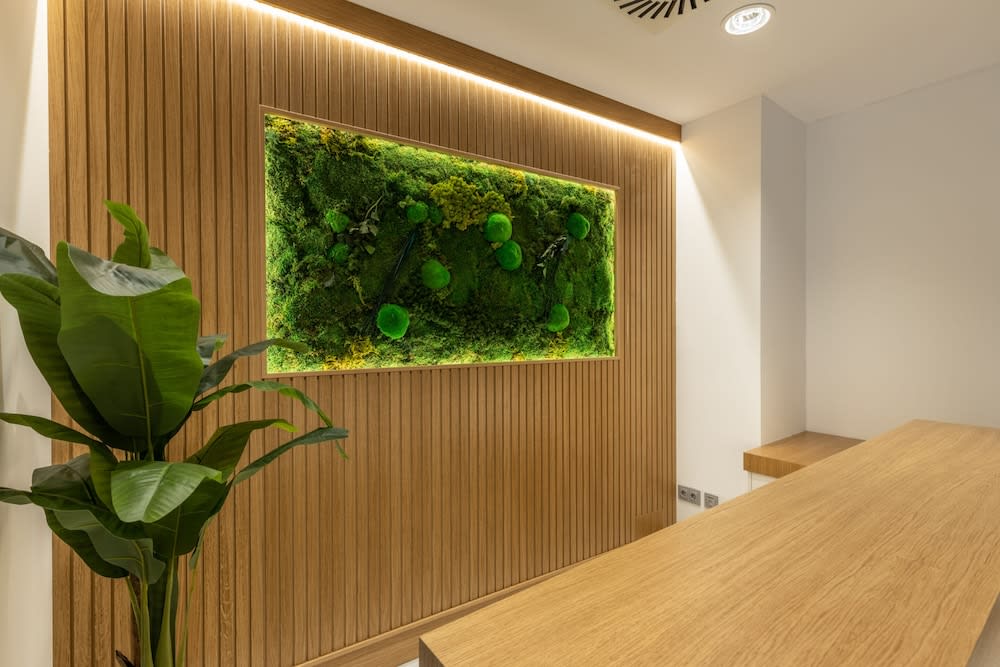 BiBo Suites San Agustín 2