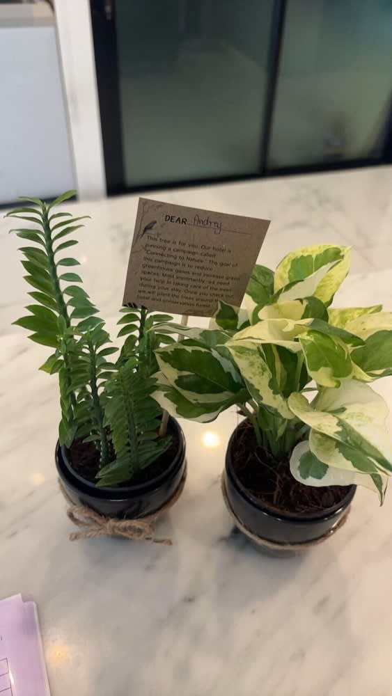 The Experience Walking Street Chiang Mai 4