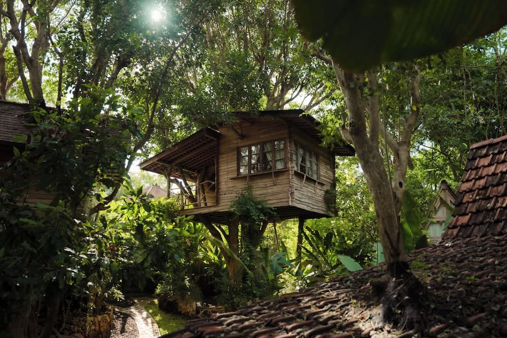 Roots Tree House 1