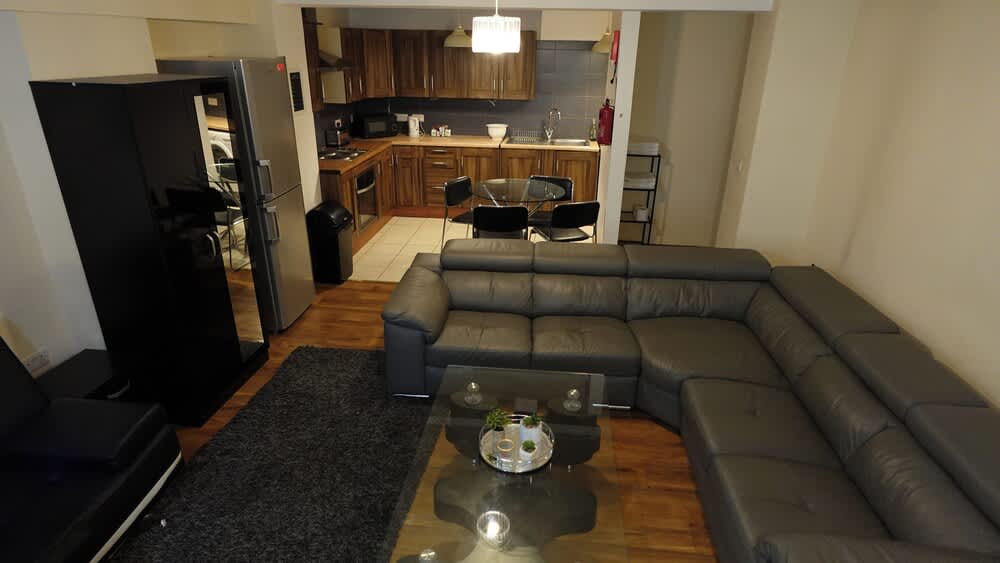Swanky Apartment 2