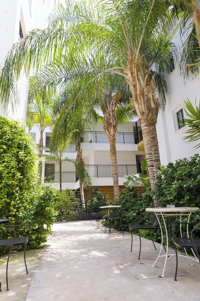 Alecos Hotel Apartments 1