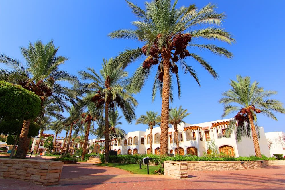 Coral Hills Resort Sharm El-Sheikh 4
