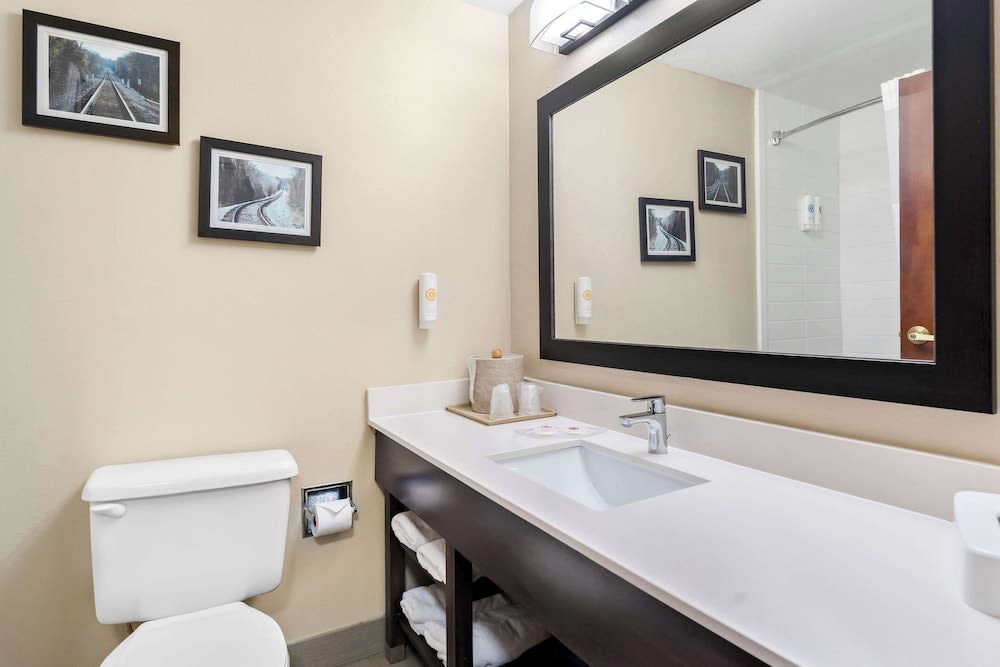 Comfort Suites near Robins Air Force Base 2