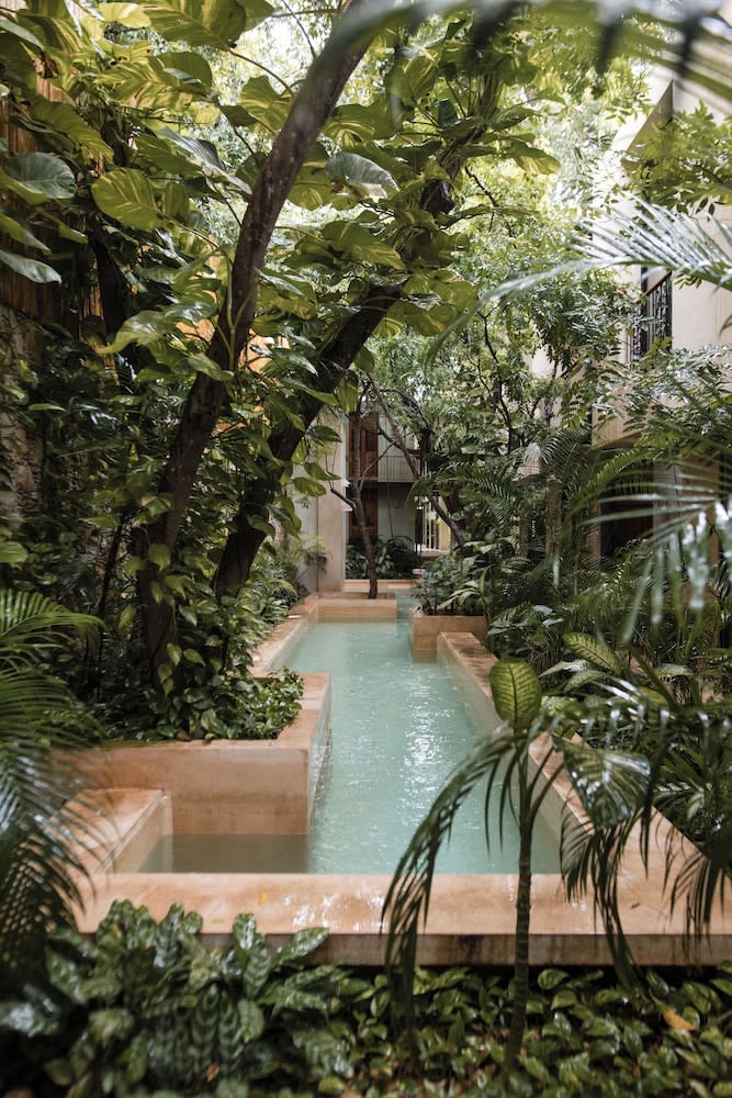 TreeHouse Boutique Hotel, an adults only boutique hotel 1