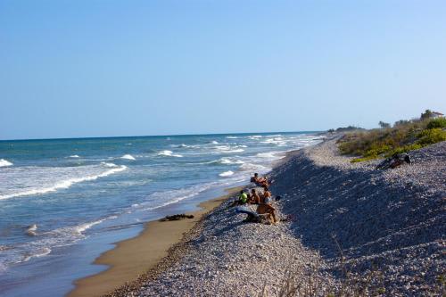 Apartamentos Cap y Corp 3