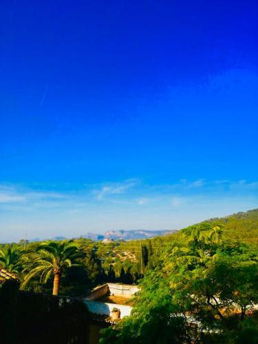 Agroturismo Son Boronat 3