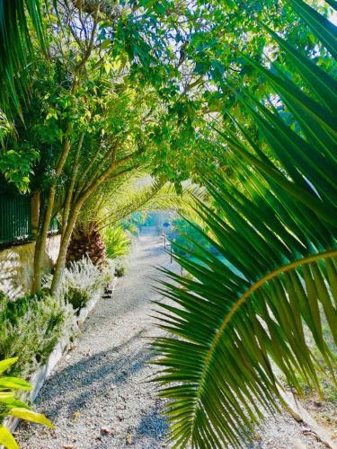 Agroturismo Son Boronat 5