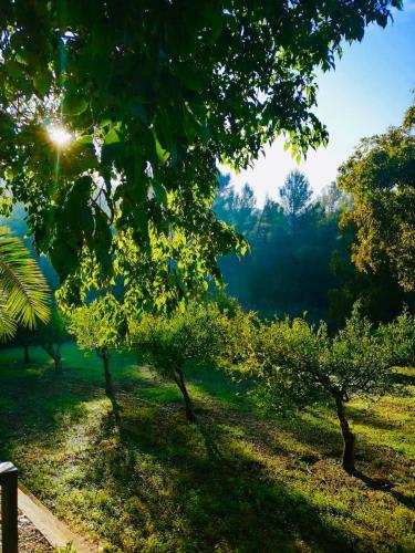 Agroturismo Son Boronat 4